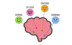 happy hormones 
